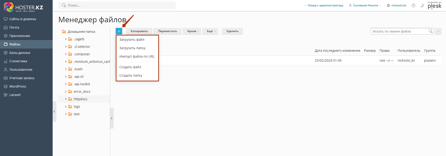 Как работать с файловым менеджером в панели Plesk
